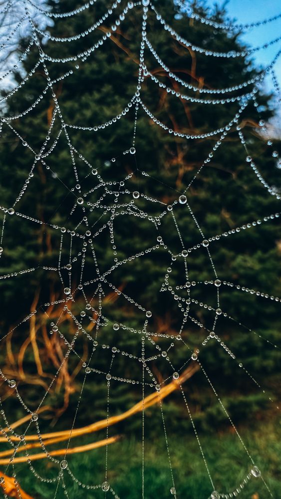 Photograph by Марина Верятинская