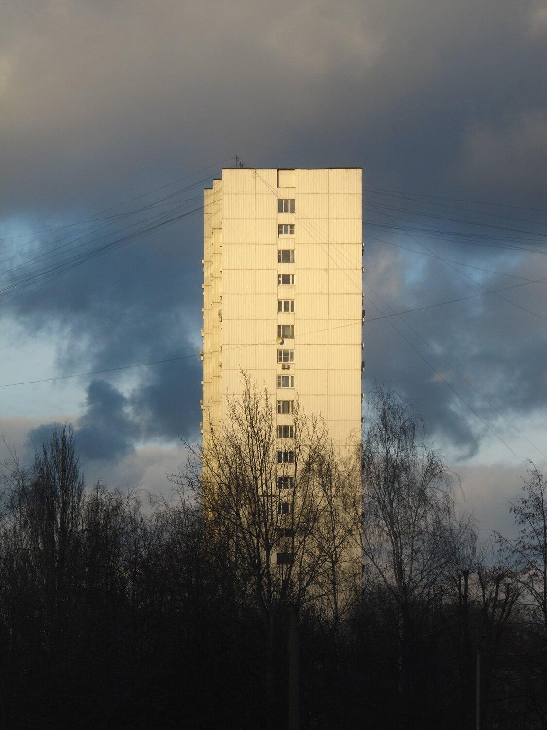 Photo #12949529