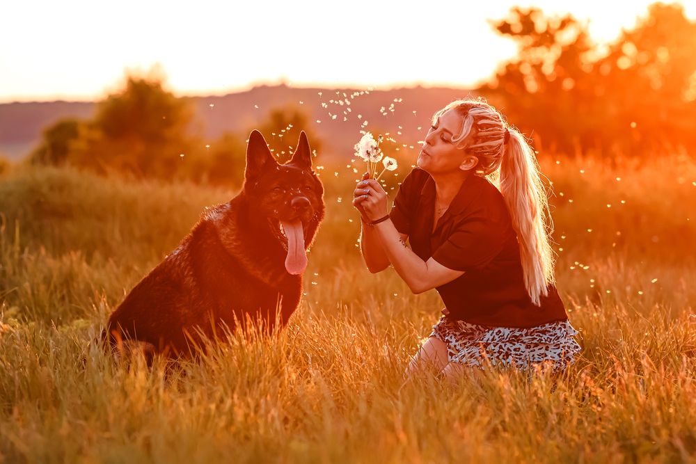 Photograph by Алина Рассохина