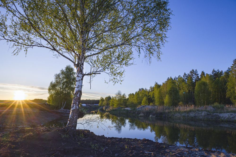 Photograph by Валерий Богачев