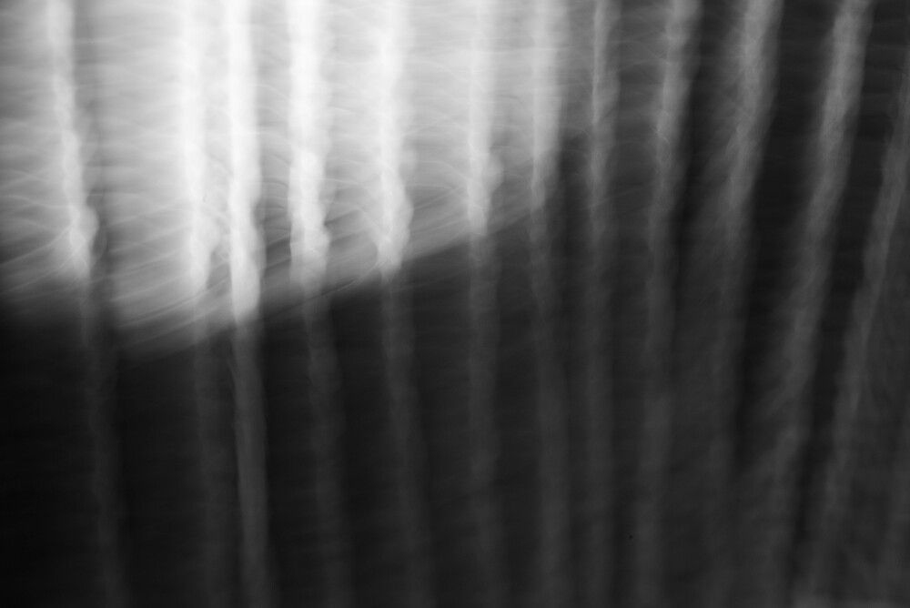 Photograph by Ирина Сергиевская