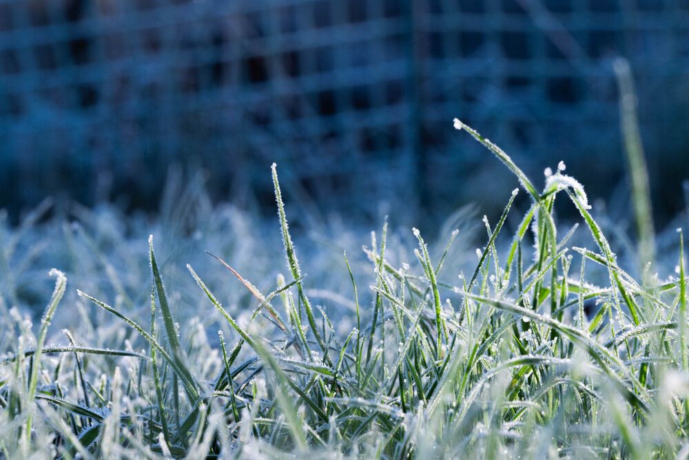 Photograph by Ирина Сергиевская