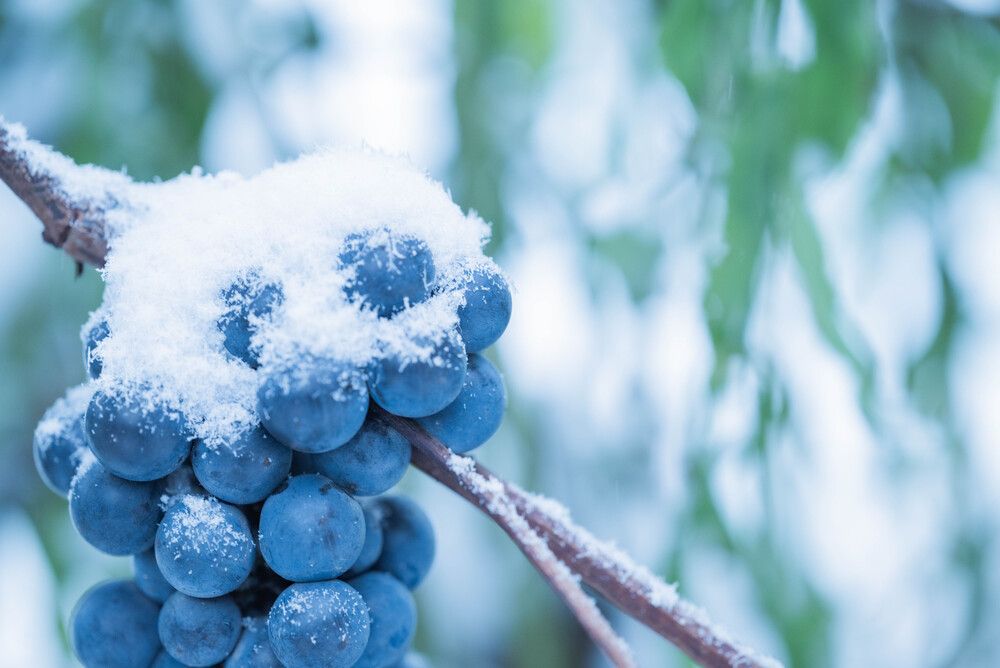 Photograph by Ирина Сергиевская