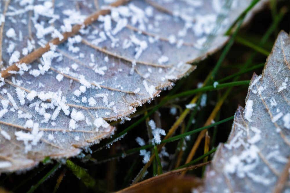 Photograph by Ирина Сергиевская