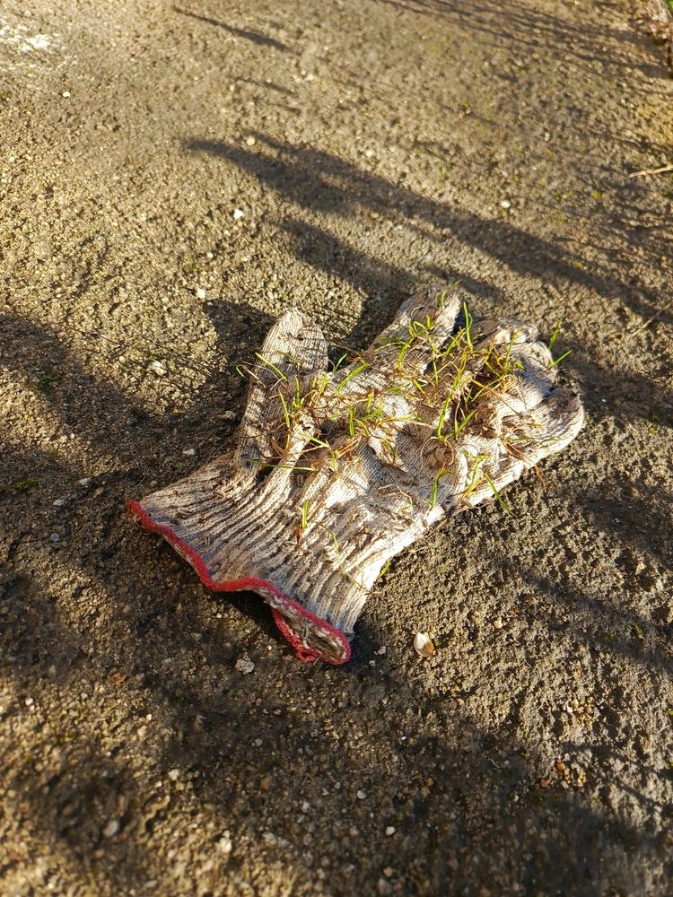 Фотография автора Татьяна Пальчикова