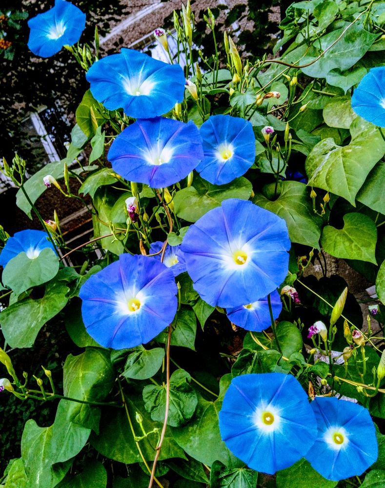 Photograph by Татьяна Пальчикова