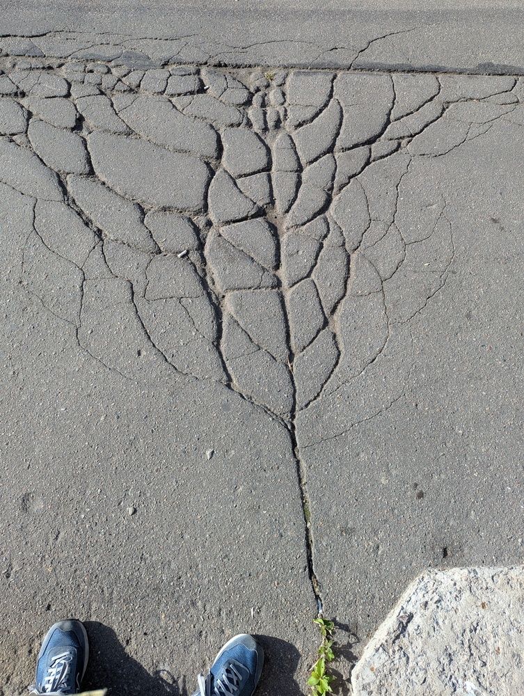 Photograph by Александр Коровин