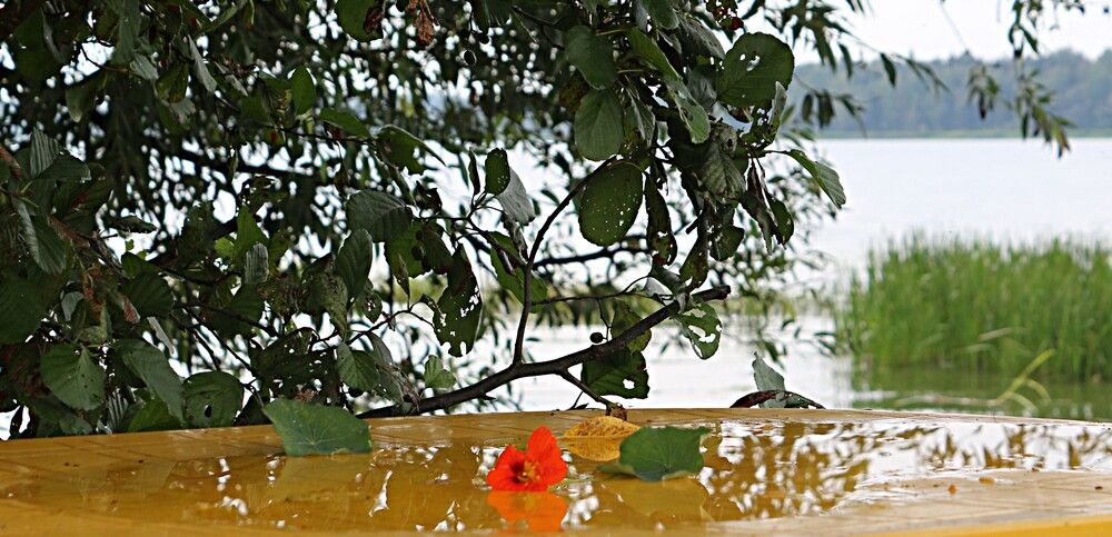 Фотография автора Марина Горбулина