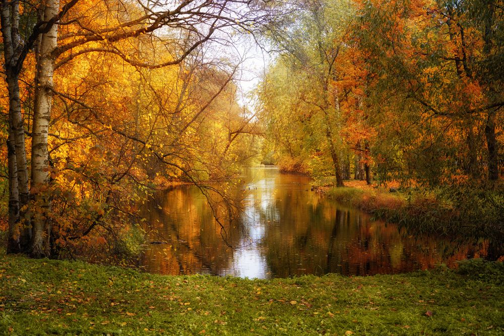 Photograph by Елена Суворова