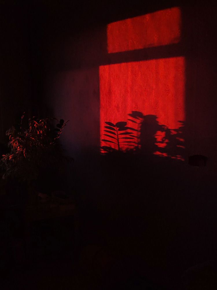 Photograph by Екатерина Брехова