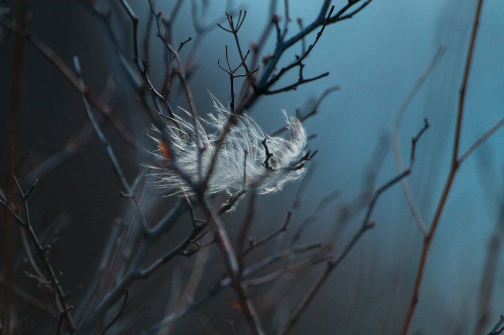 Ветер. Одиночество. Пустота.