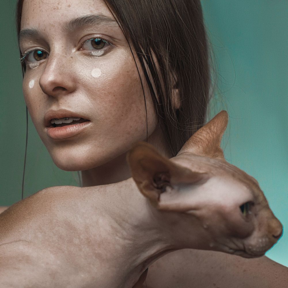 Айлурофобия