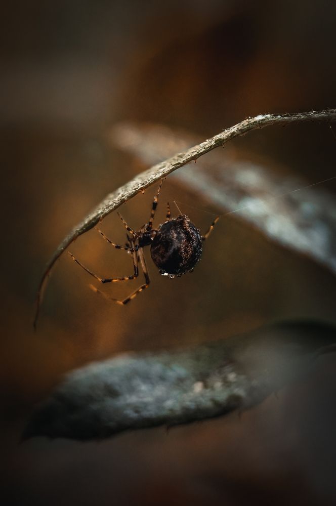 Photograph by Голобородько Олеся