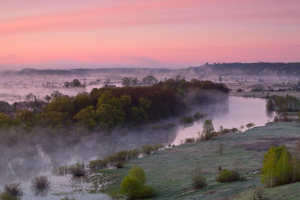 Утро Вербного воскресенья.