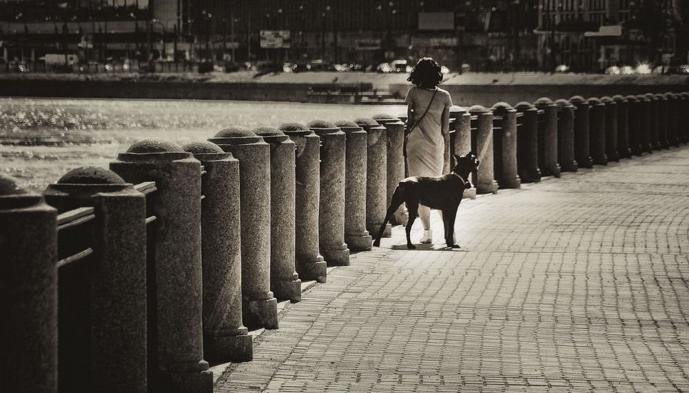 Дама с собачкой