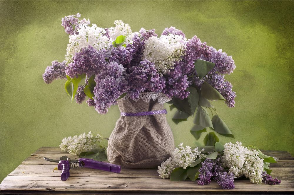 Сирени нежной аромат...