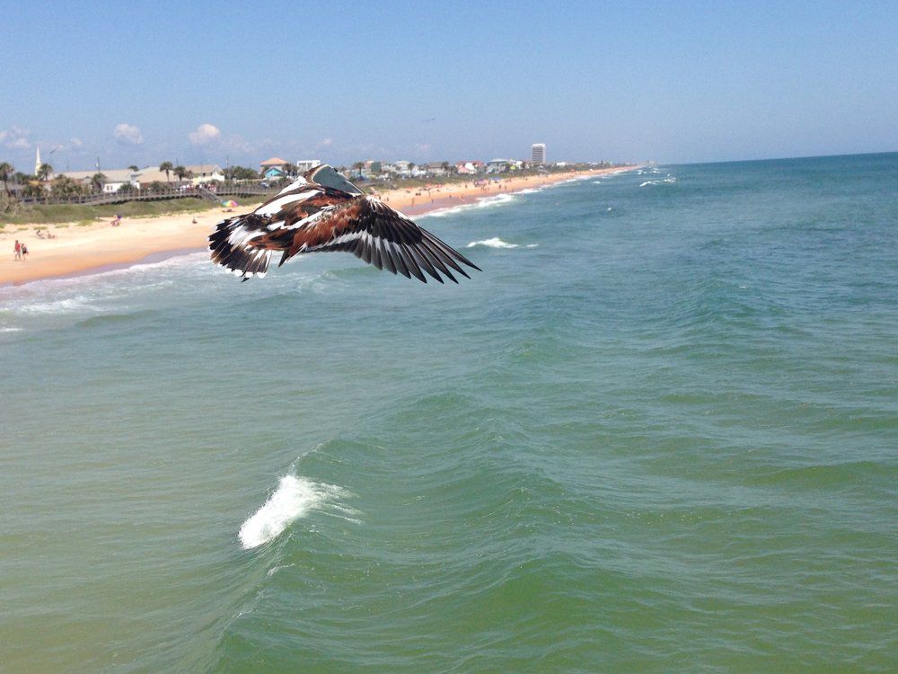 Полет на Атлантикой весна 2016