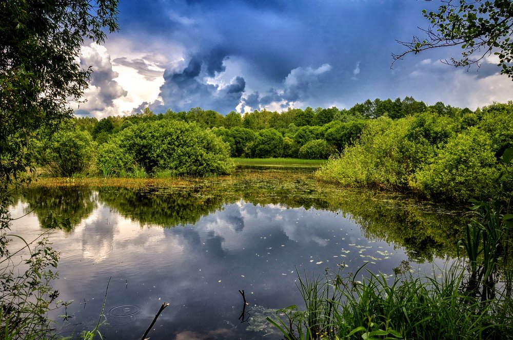 "Тихие омуты".