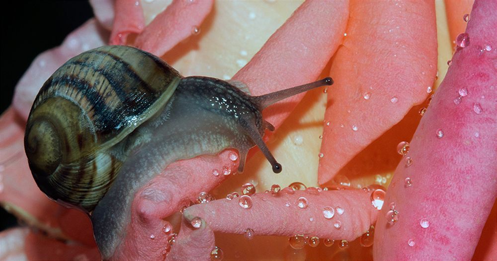 Один... Два... Три...