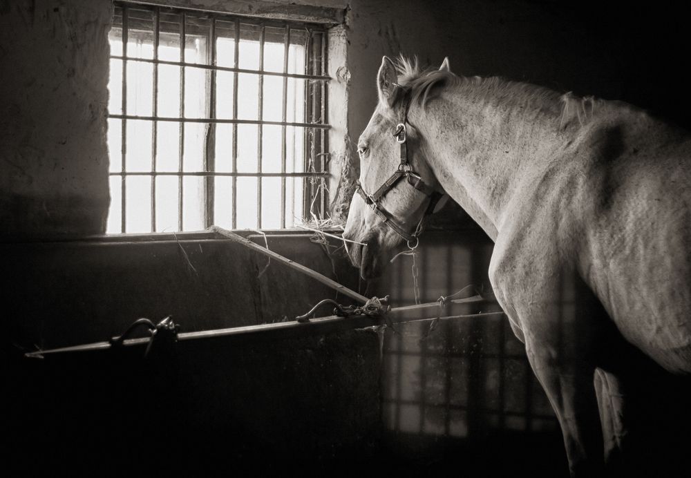 Пустые надежды