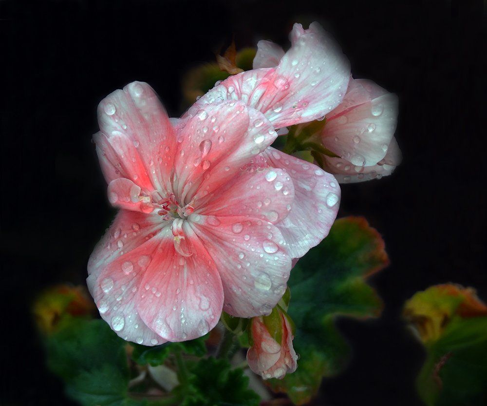 Вечер одиночества