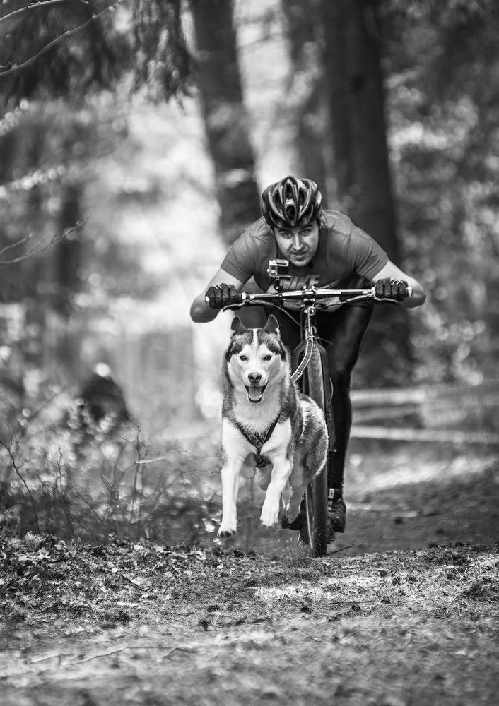 Связанные одной целью.....