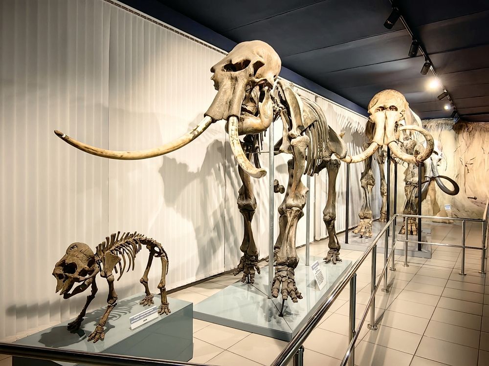 Познающим мир