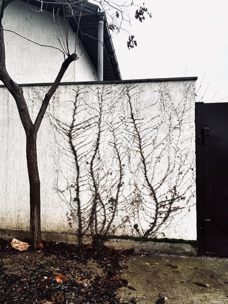 Фотография автора Ирина Якущенко