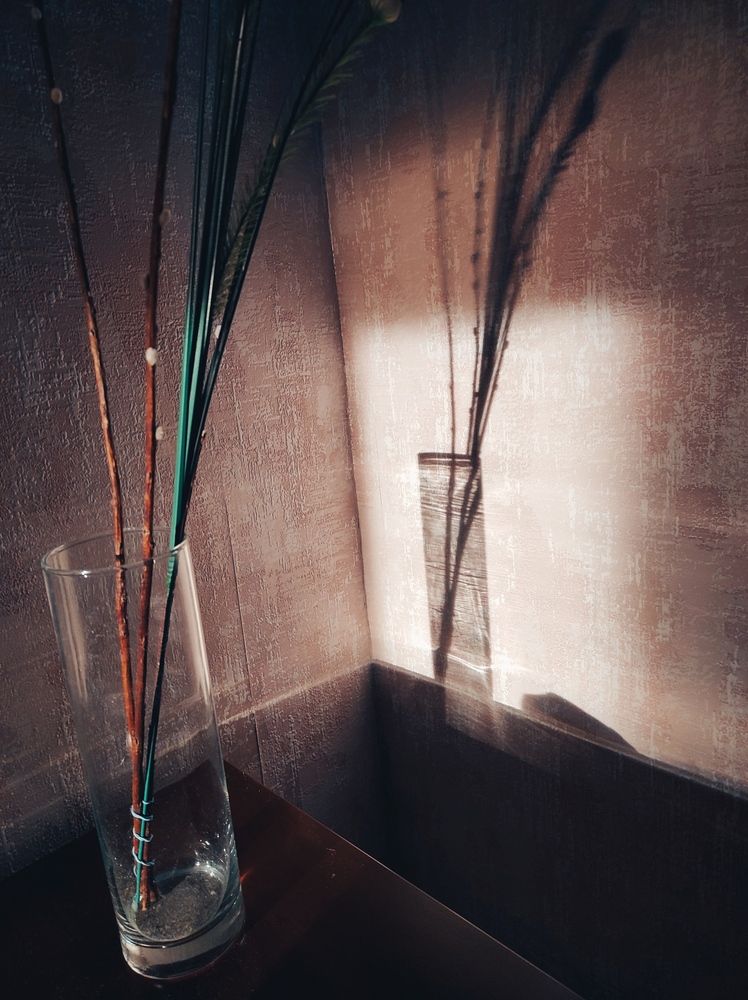 Photograph by Осадчая Анна