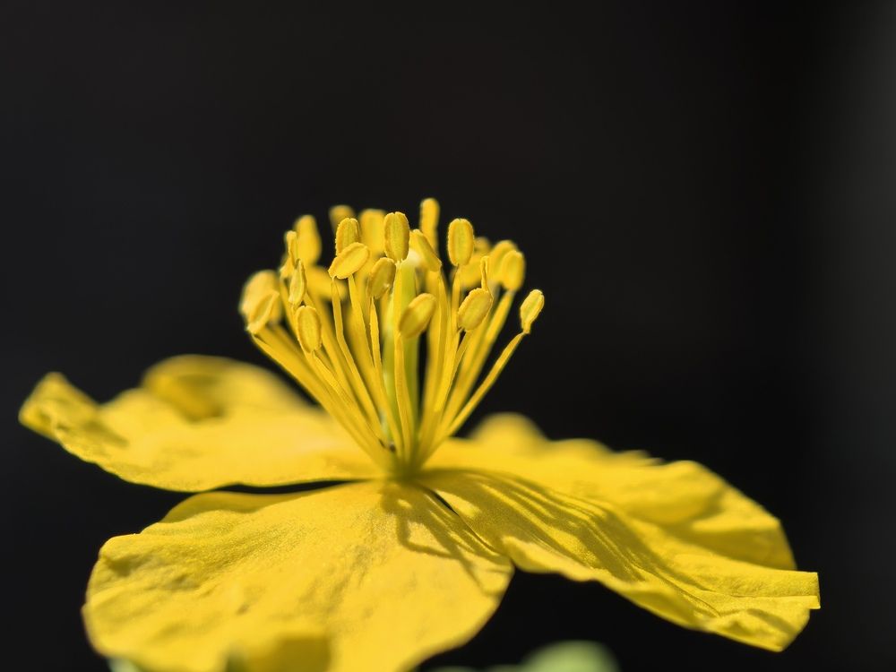 Photograph by Валерия Полникова