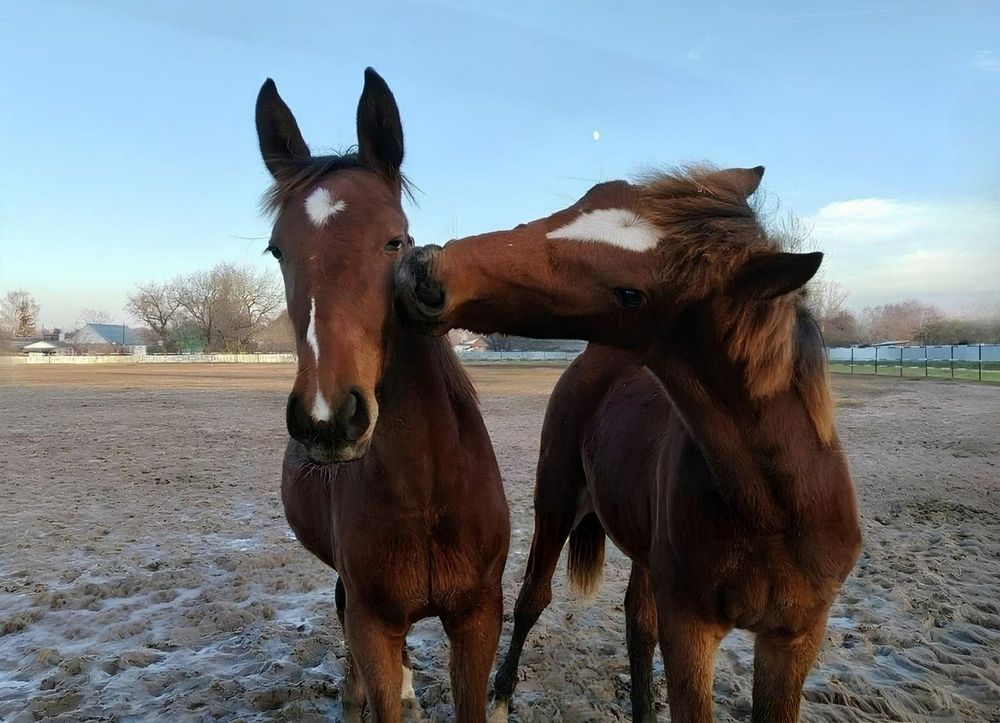 Photograph by Елена Сухорученкова