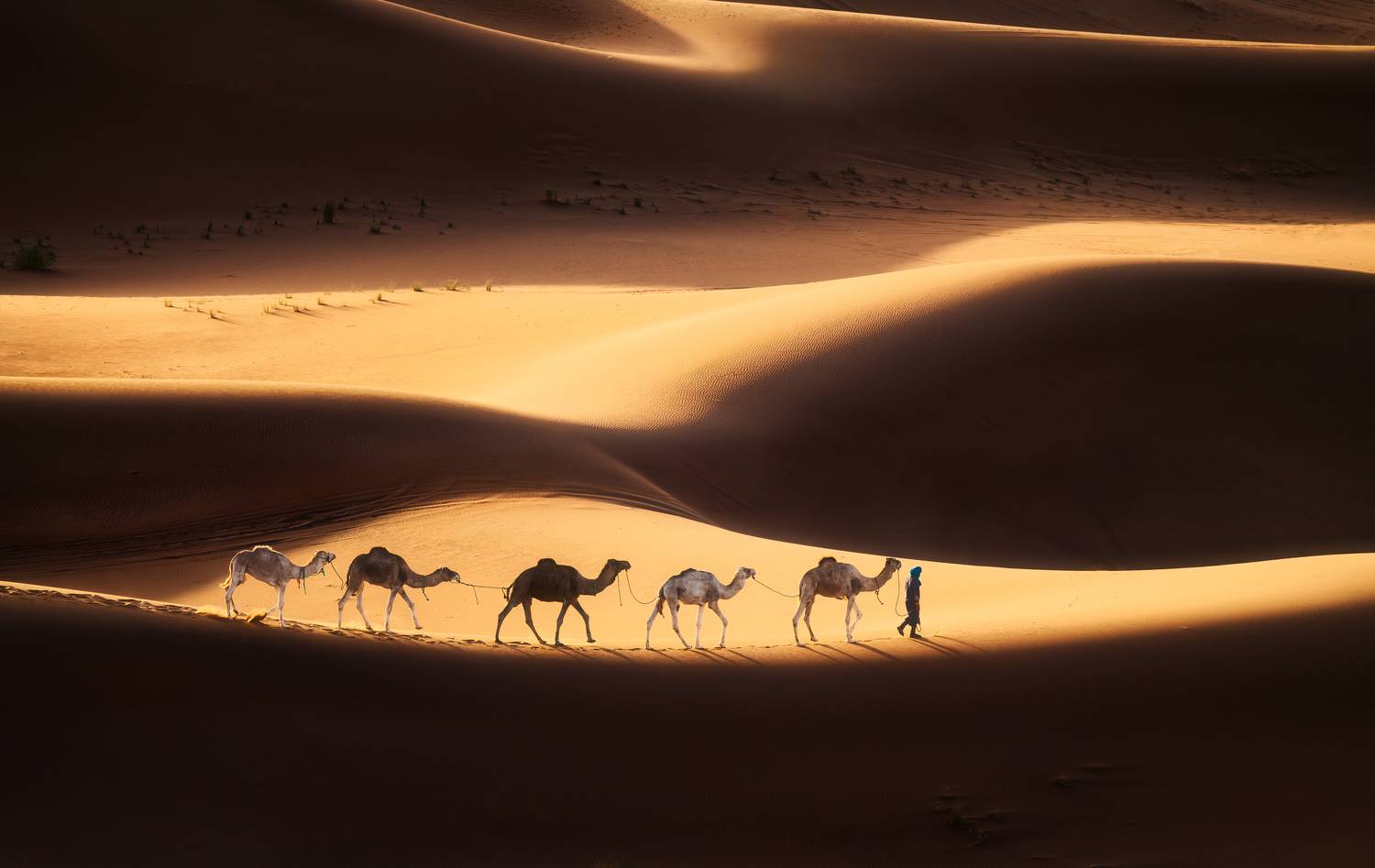 Фотография #12950403