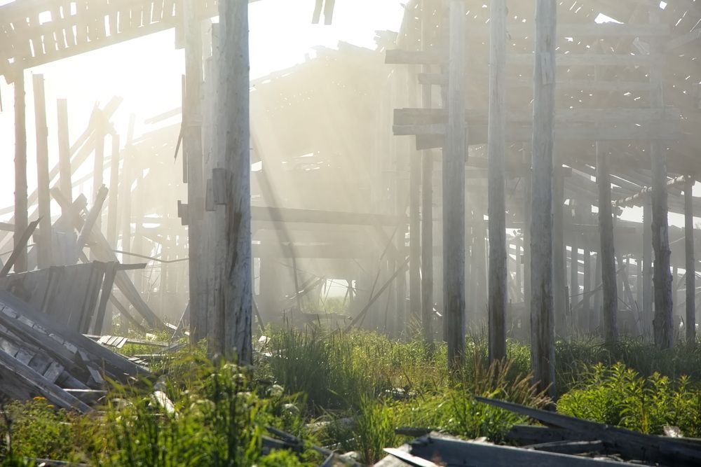 Photograph by Олег Раков