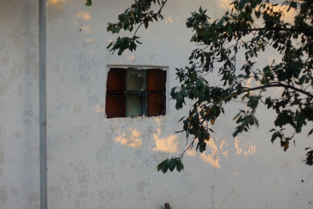 Photograph by Anastasia Brus