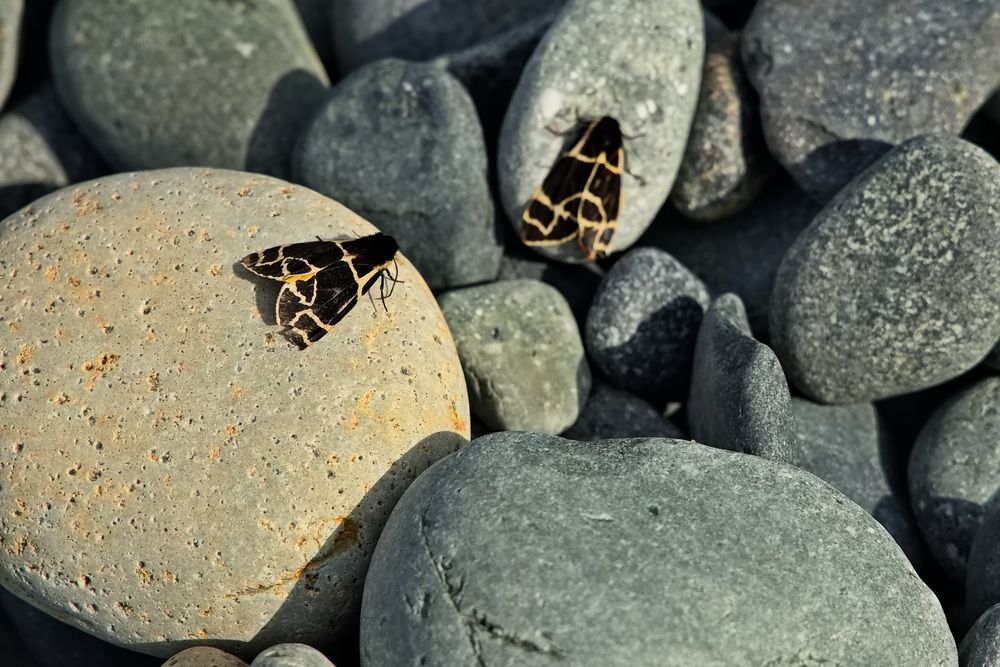 Photograph by Олег Раков