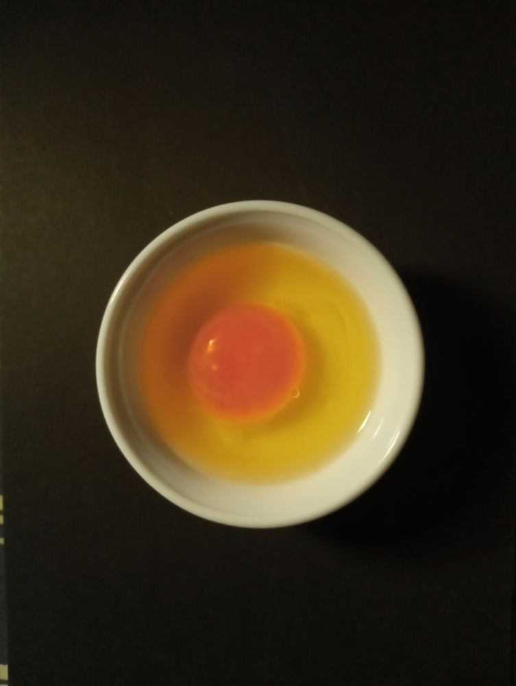 Фотография автора Евгения Кириллова