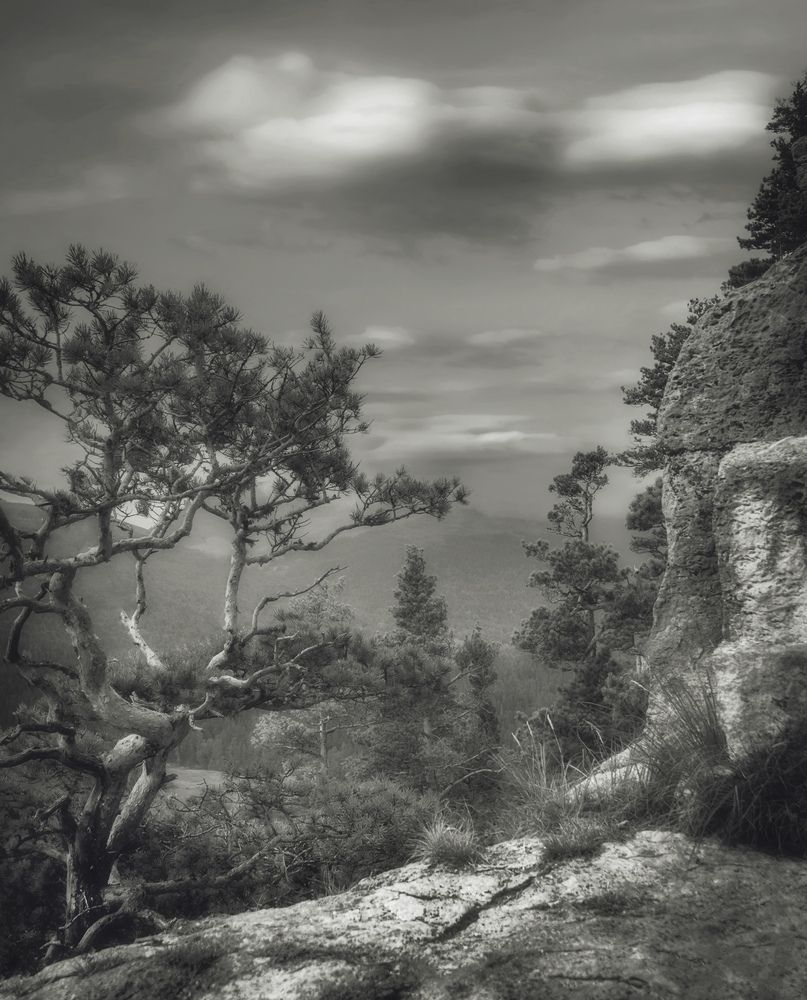Photograph by Константин Яковлев