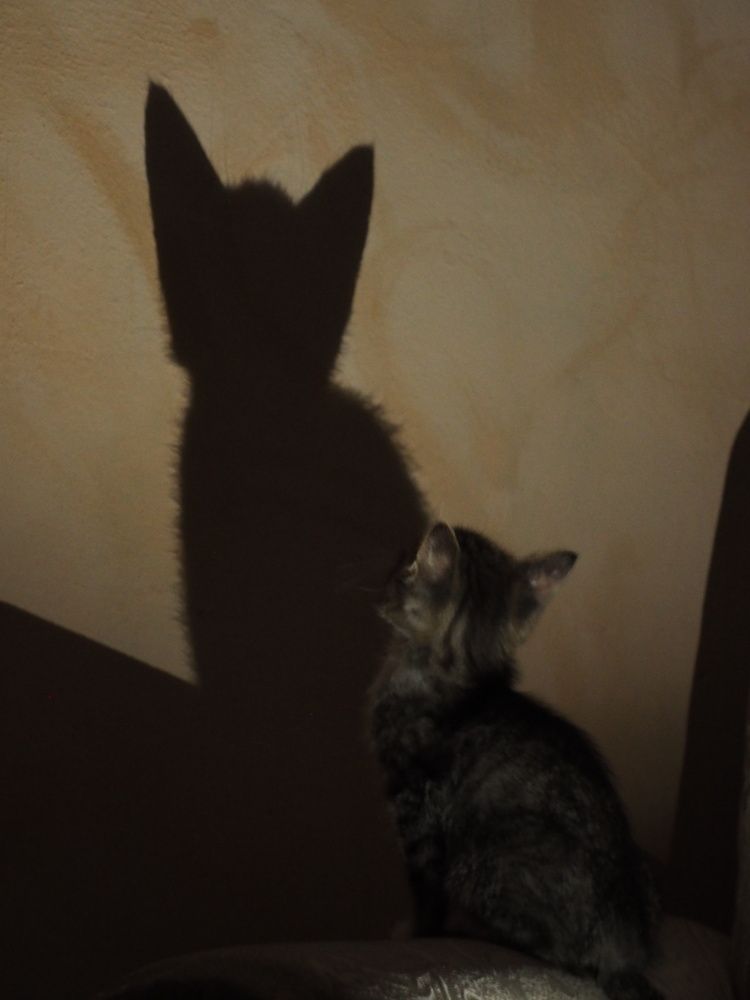 Photograph by Наталья