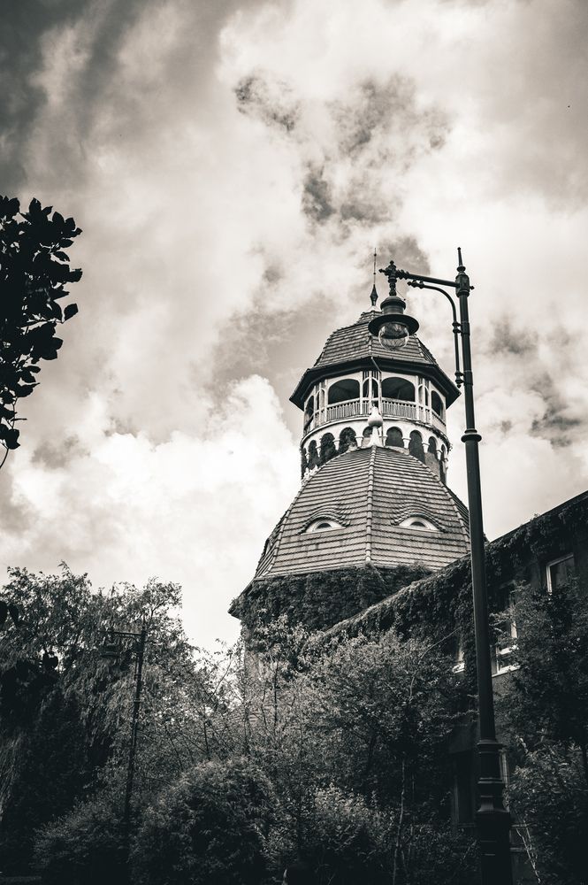 Photograph by Ольга Амосова