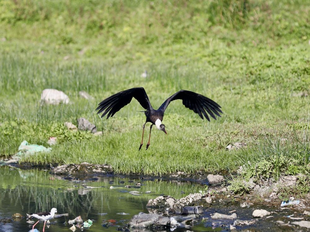 Photograph by Bhavesh Patil
