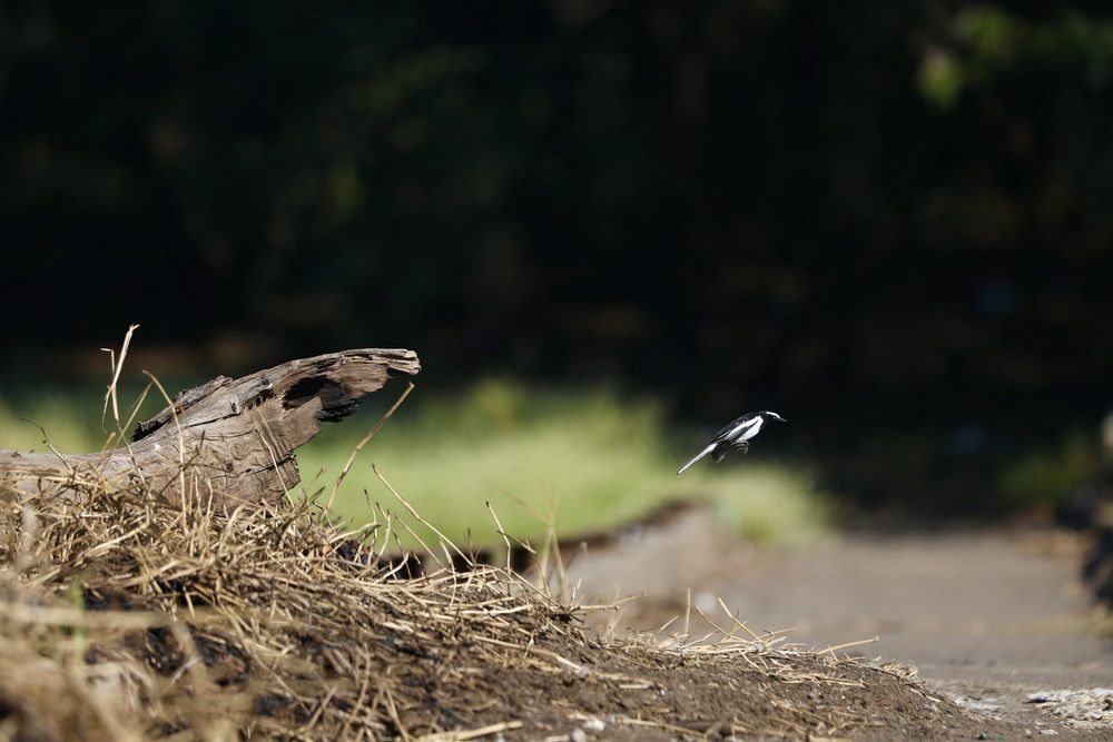 Photograph by Bhavesh Patil