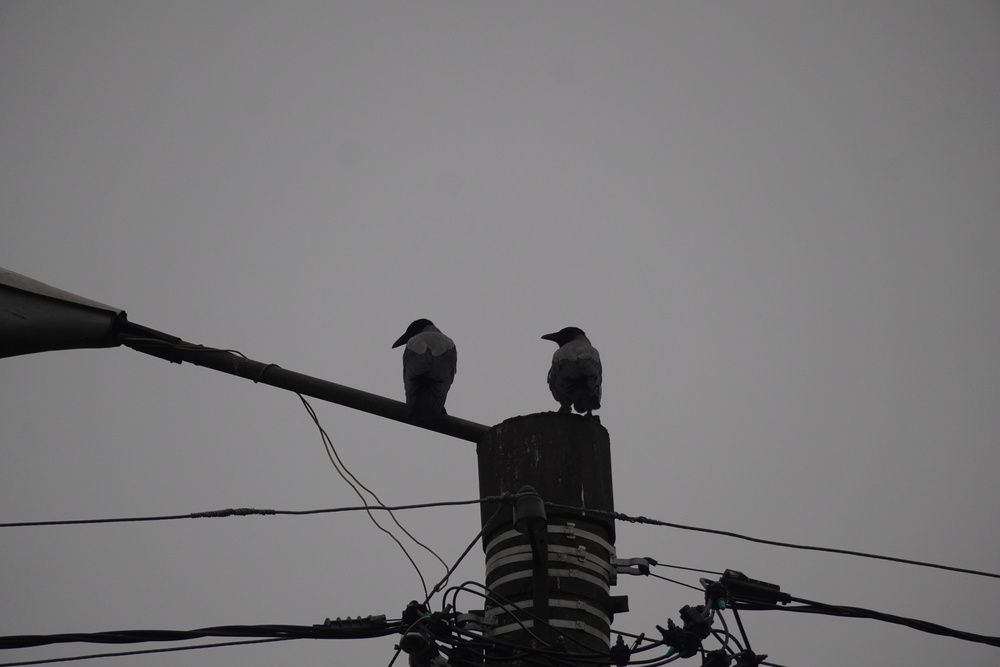 Photograph by Алфия Бугакова