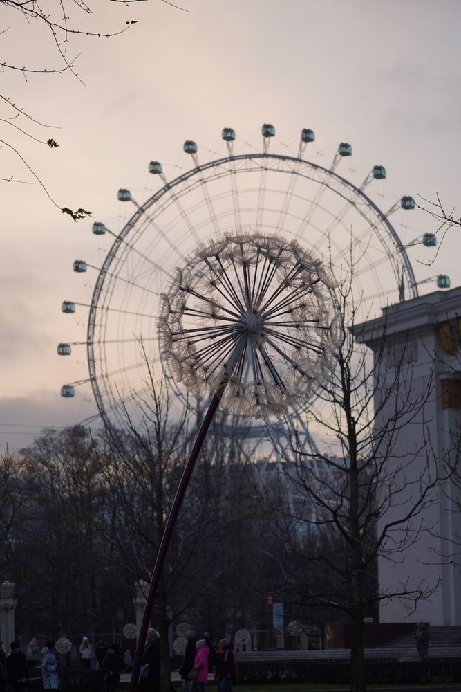 Photograph by Алфия Бугакова