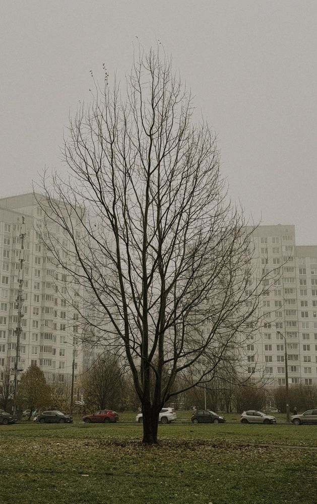 Photograph by Надя Акула