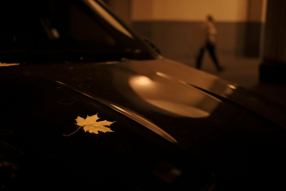 Photograph by Елена Барышева