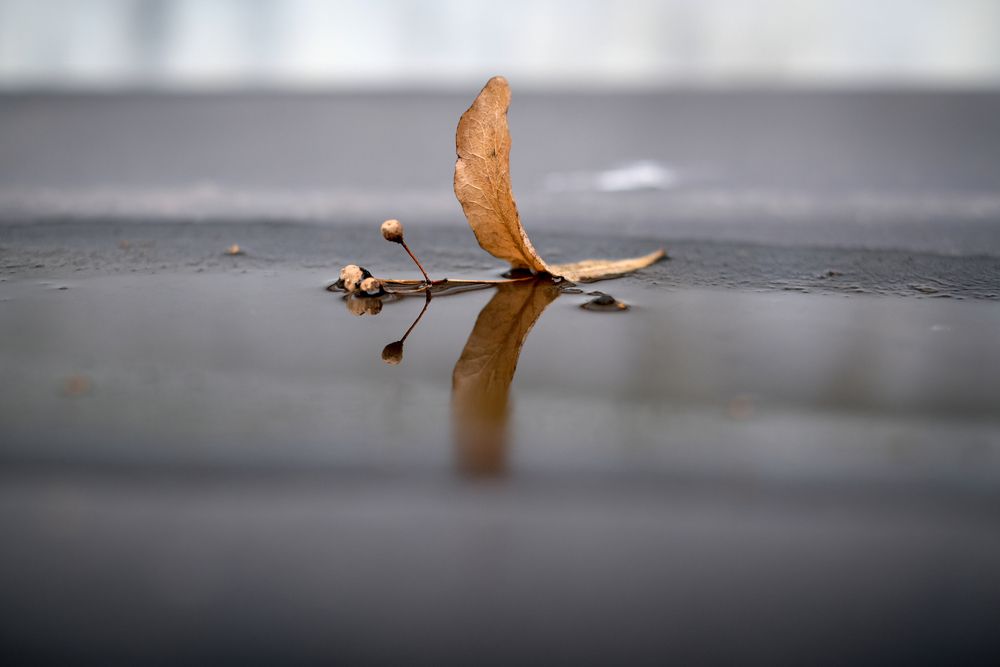 Photograph by Елена Барышева