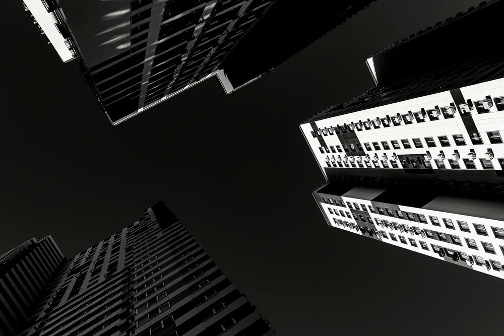 Photograph by Михаил Косолапов