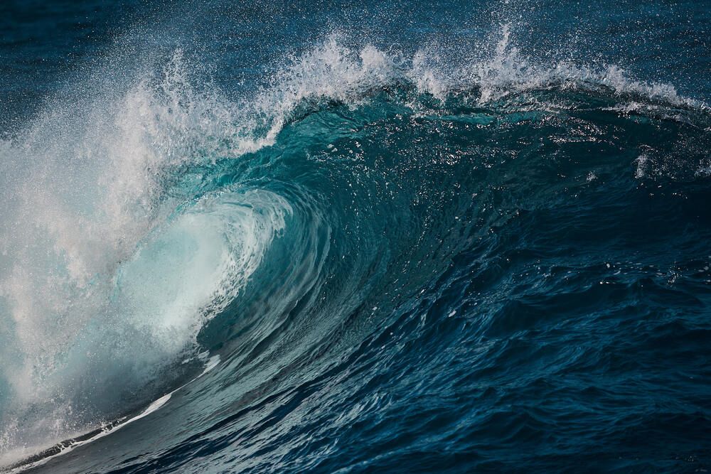 Photograph by Natalie Liedtke