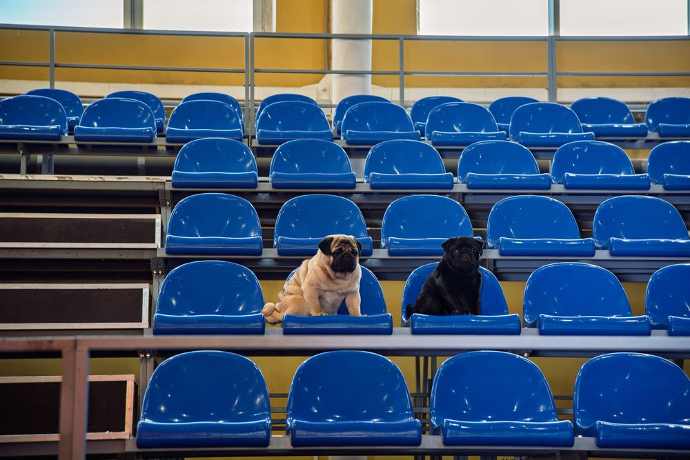 Photograph by наталья залогина