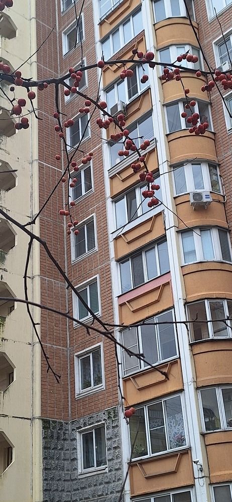 Photograph by Лилия Рыжанкова